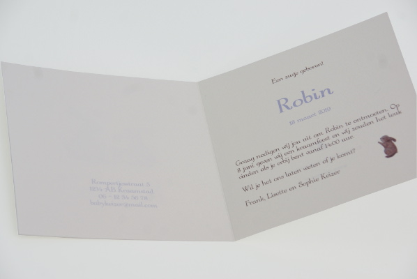geboortekaartje robin lila